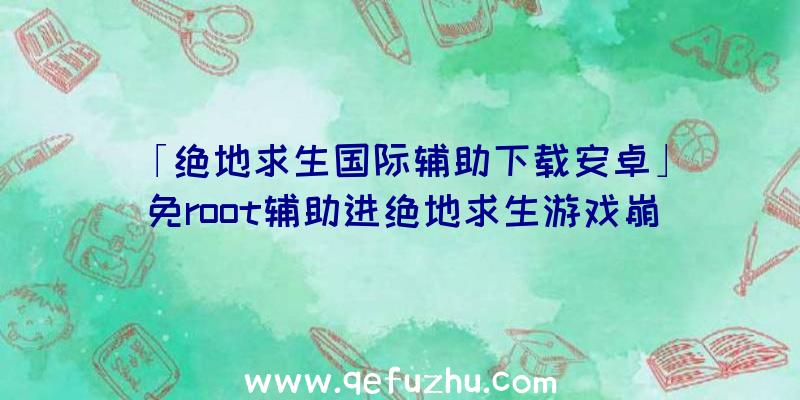 「绝地求生国际辅助下载安卓」|免root辅助进绝地求生游戏崩溃